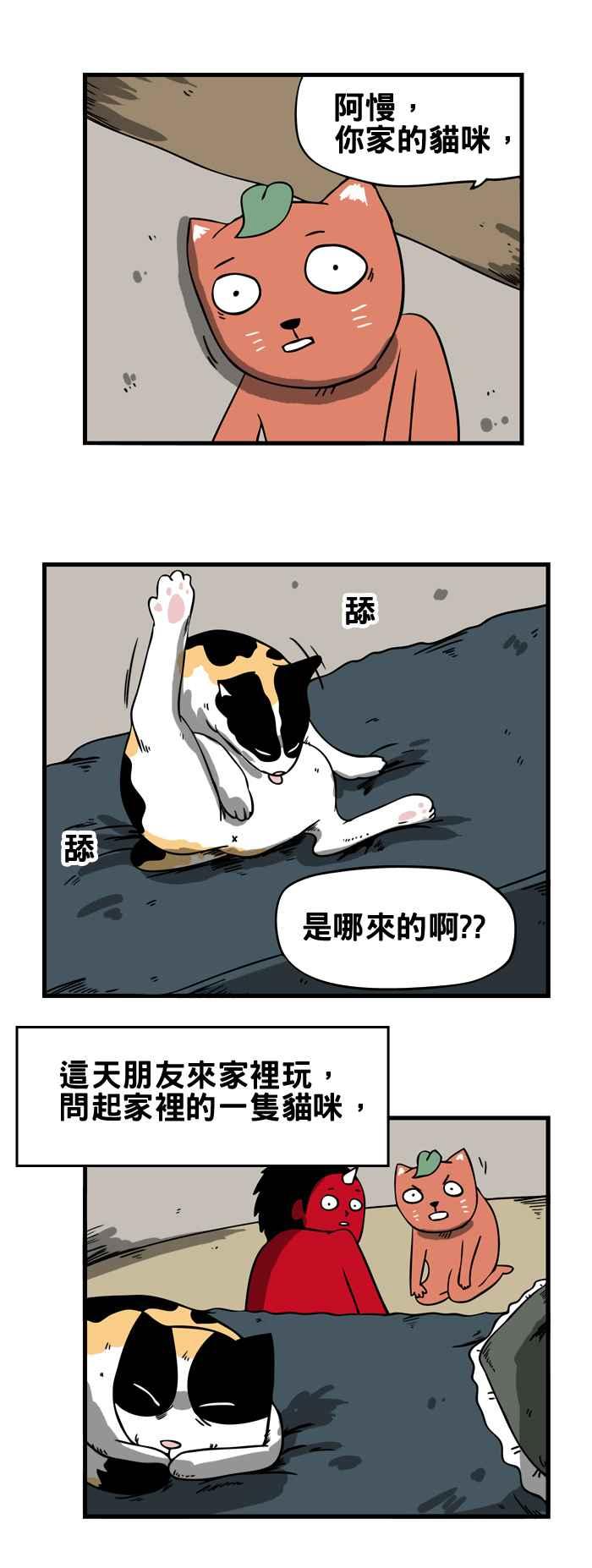 [第75话] 来历不明的猫1