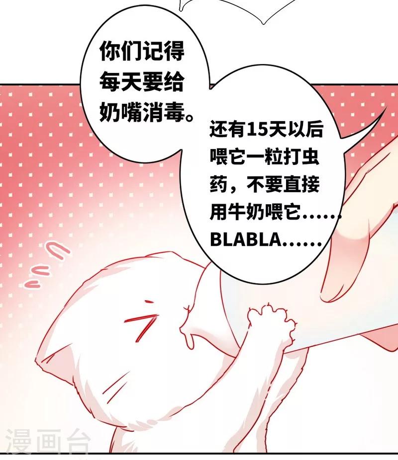 《复仇少爷小甜妻》漫画最新章节第15话 珍惜免费下拉式在线观看章节第【6】张图片