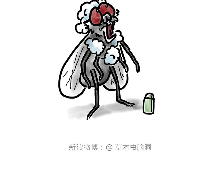 拖马师7