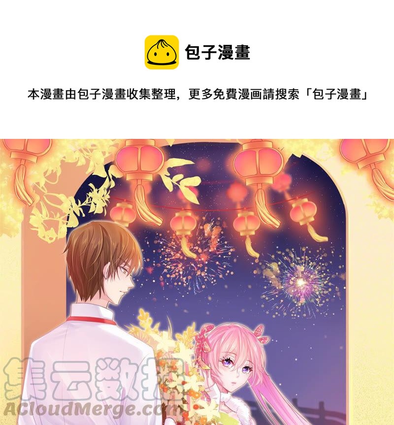 第215话 苏瑾的心愿0