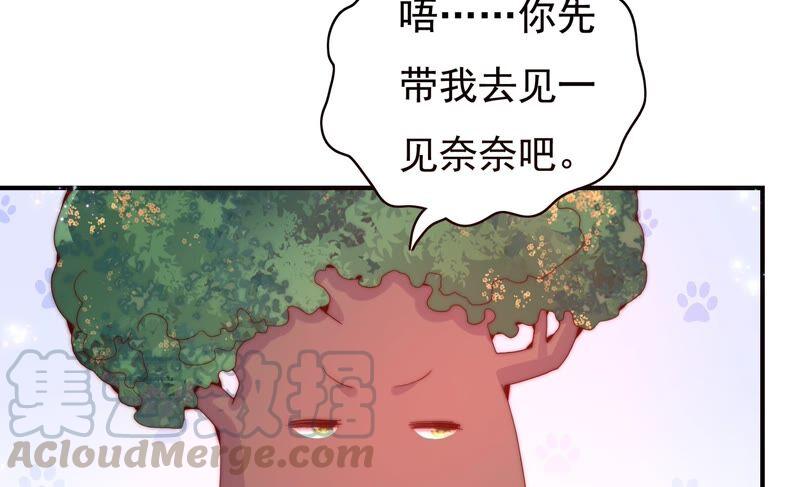 第227话 时空中的影子12