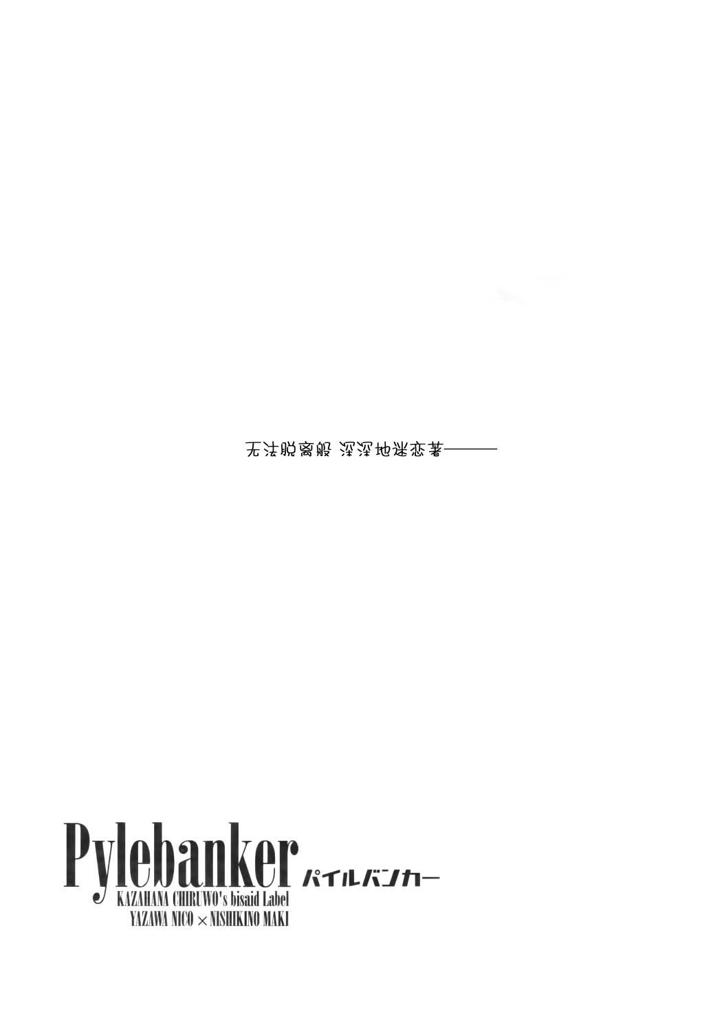 Pylebanker3