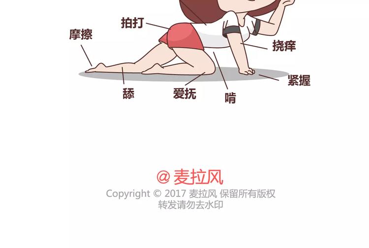 第311话 女朋友使用说明书37