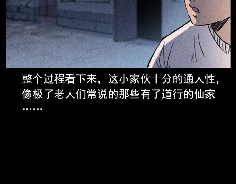 第307话 鼠恩103