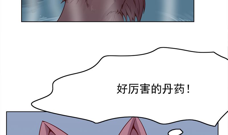 第219话 蜕变的小狐狸4