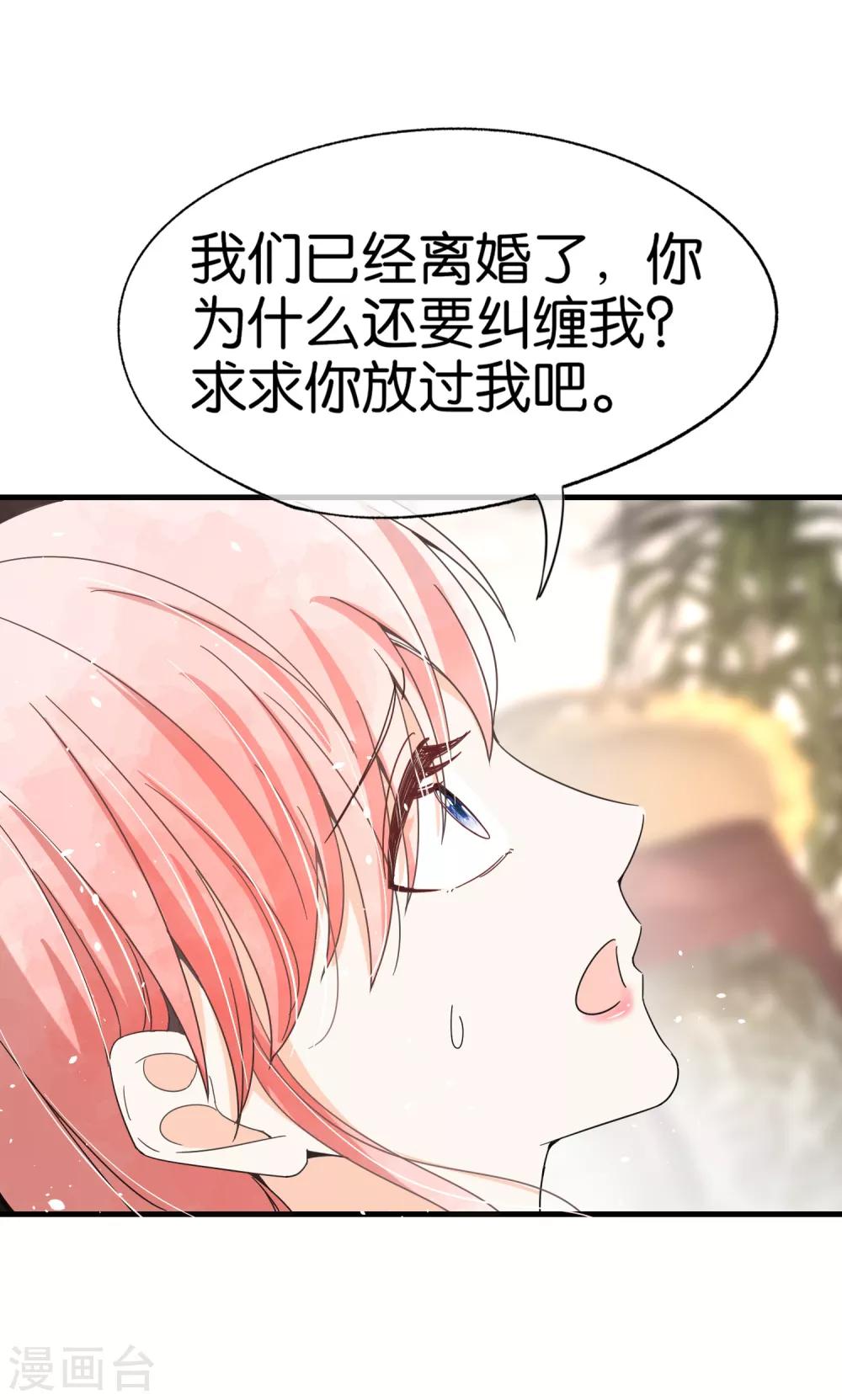 第66话 不要忘了我才是厉夫人19