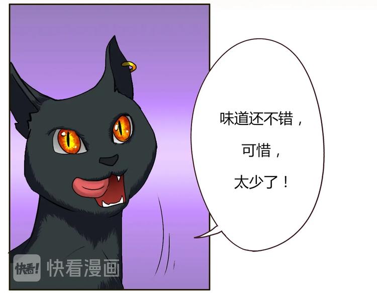 第16话 妖猫现身26