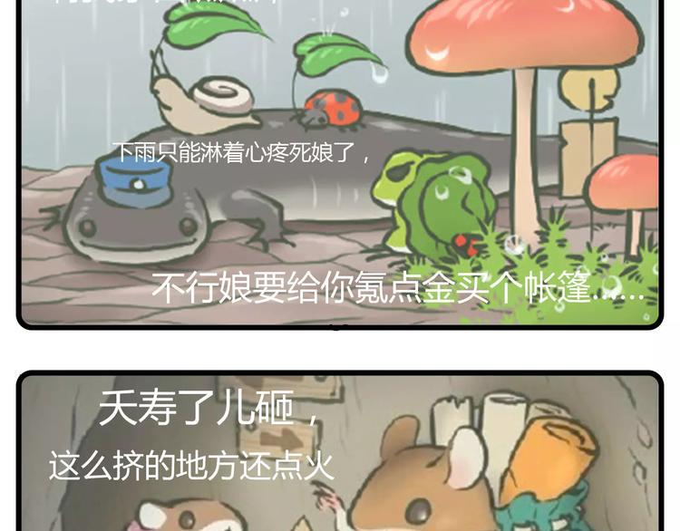 天青色等烟雨，而我在等蛙14