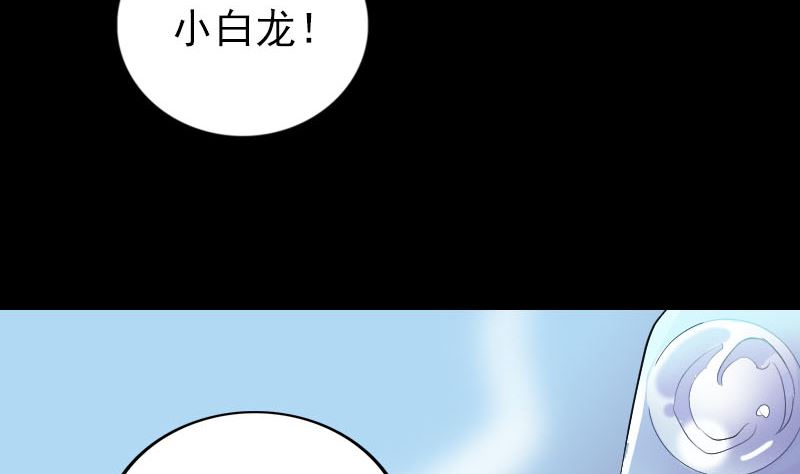 第158话 宝珠与白龙52