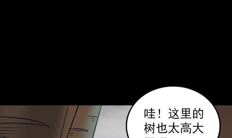 第339话 奇遇33