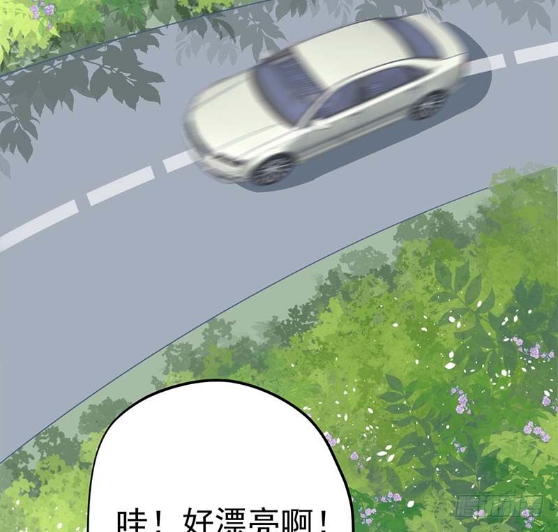 寻找已逝去的味道16