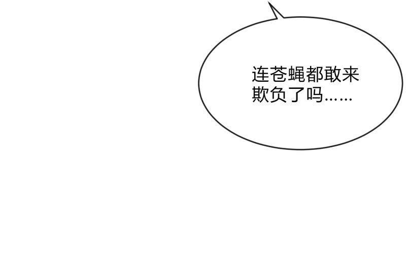 螳螂捕蝉，黄雀在后34