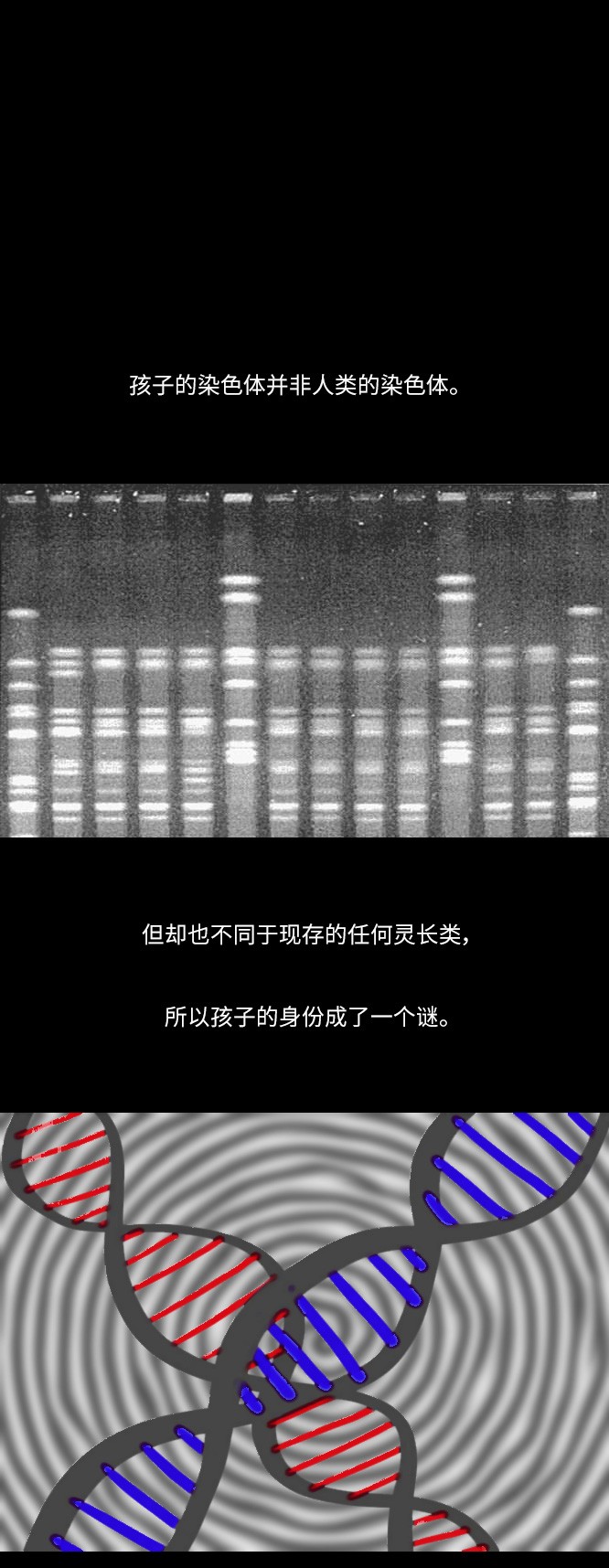 第31话11