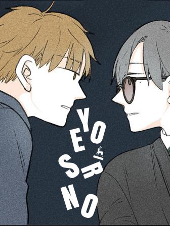 yes or no综艺_banner
