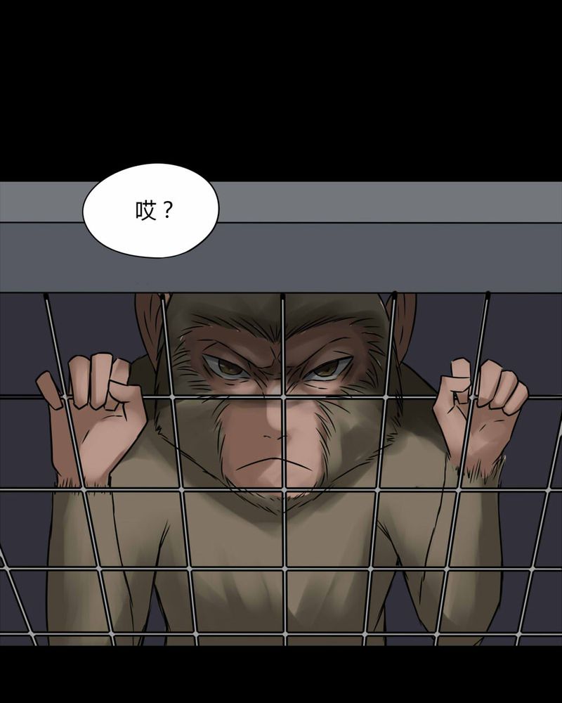 第84章：猴知猴觉（上）1