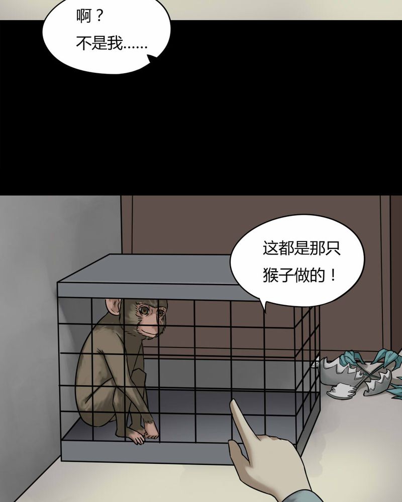 第85章：猴知猴觉（下）28