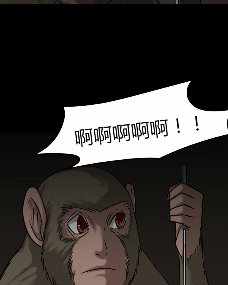第85章：猴知猴觉（下）8