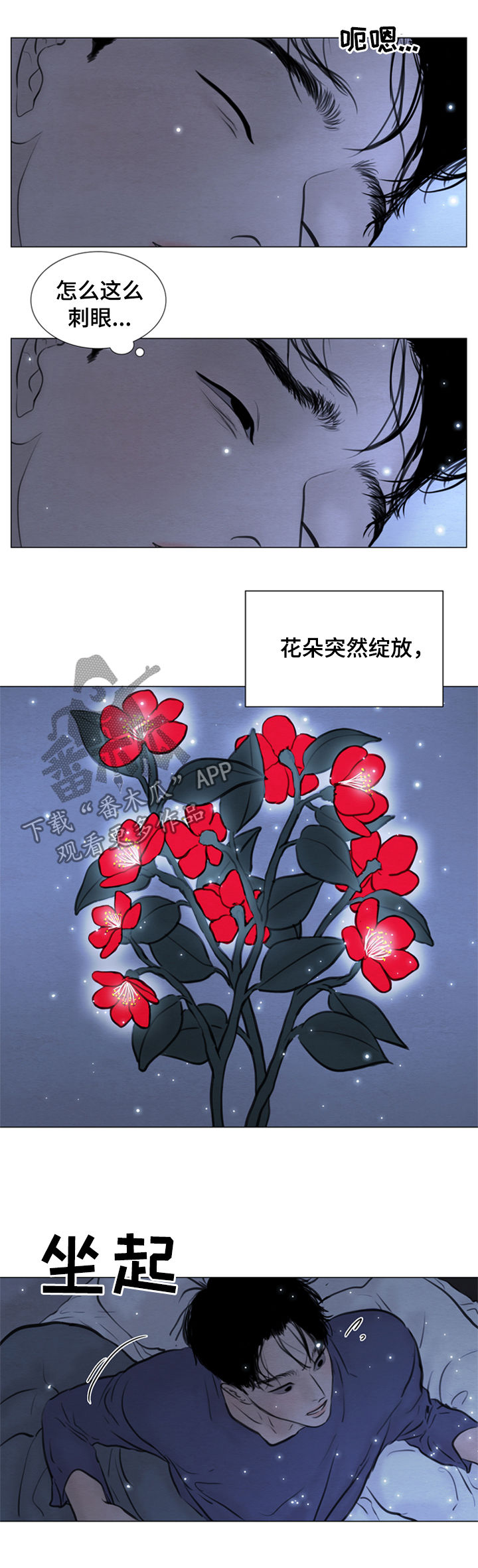 第108章：【第二季】花朵绽放1