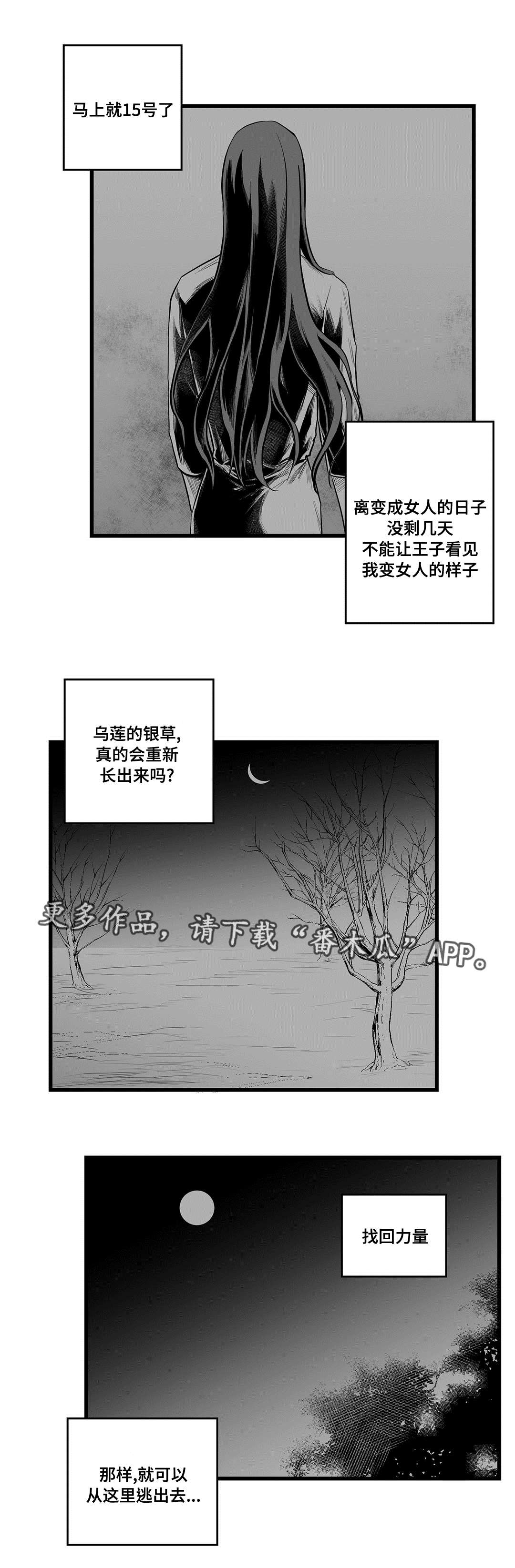【巫师与王子】漫画-（第41章：何去何从）章节漫画下拉式图片-14.jpg