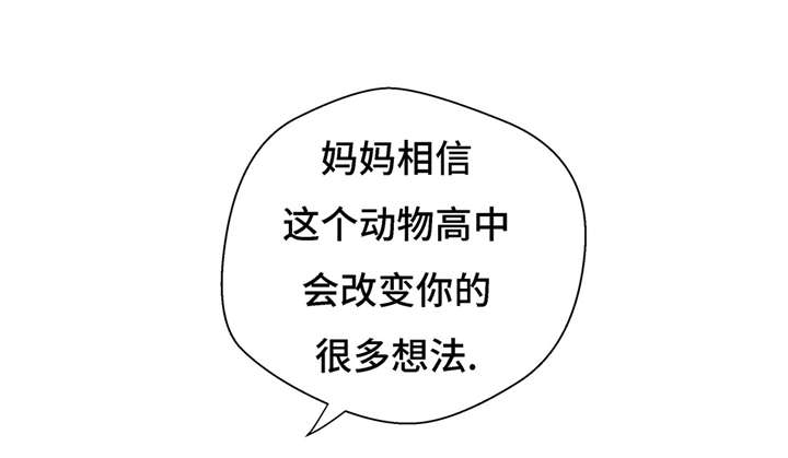 第20章：漂亮的名字19