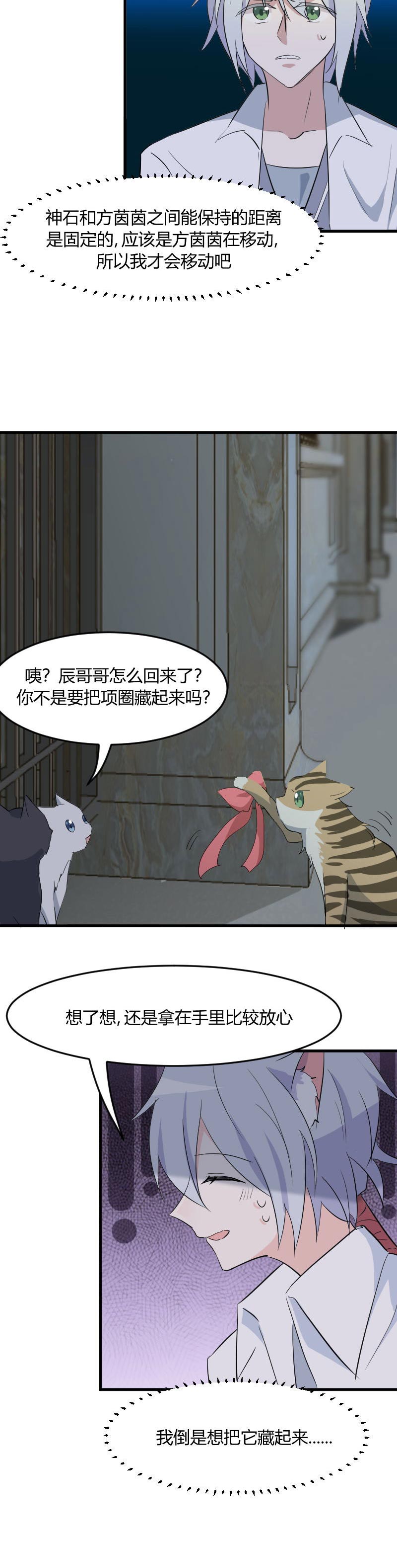 第17章：猫很活泼很健康0