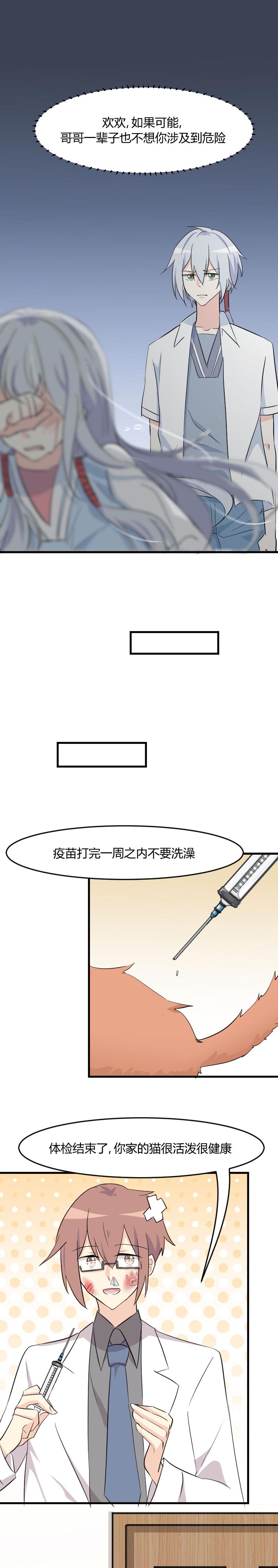 第17章：猫很活泼很健康3