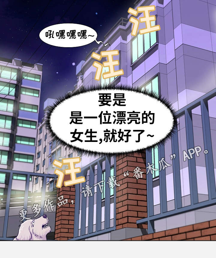 第20章：安排2