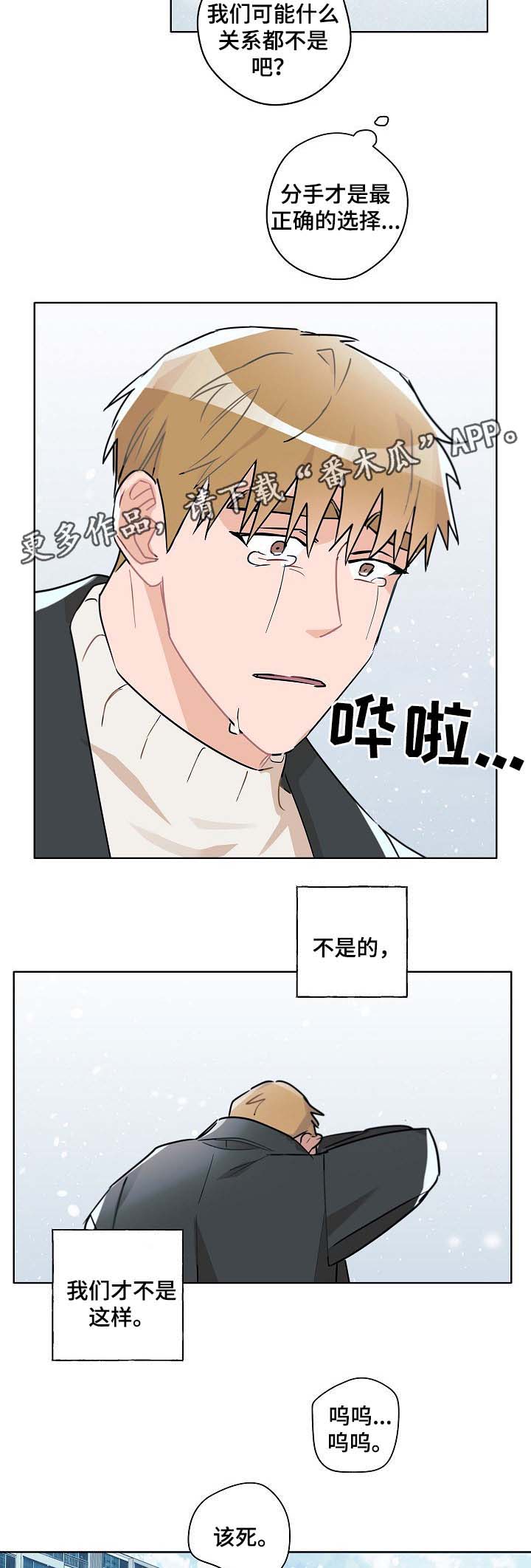 第41章：律师上门11