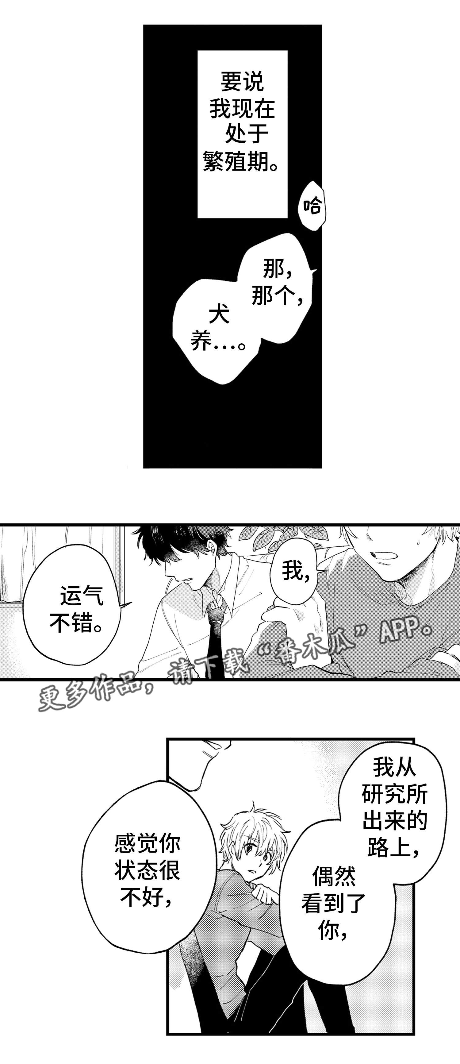 【最后的阿尔法】漫画-（第11章：冷静）章节漫画下拉式图片-7.jpg