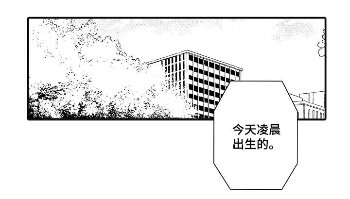 【花落】漫画-（第1章：同事）章节漫画下拉式图片-1.jpg