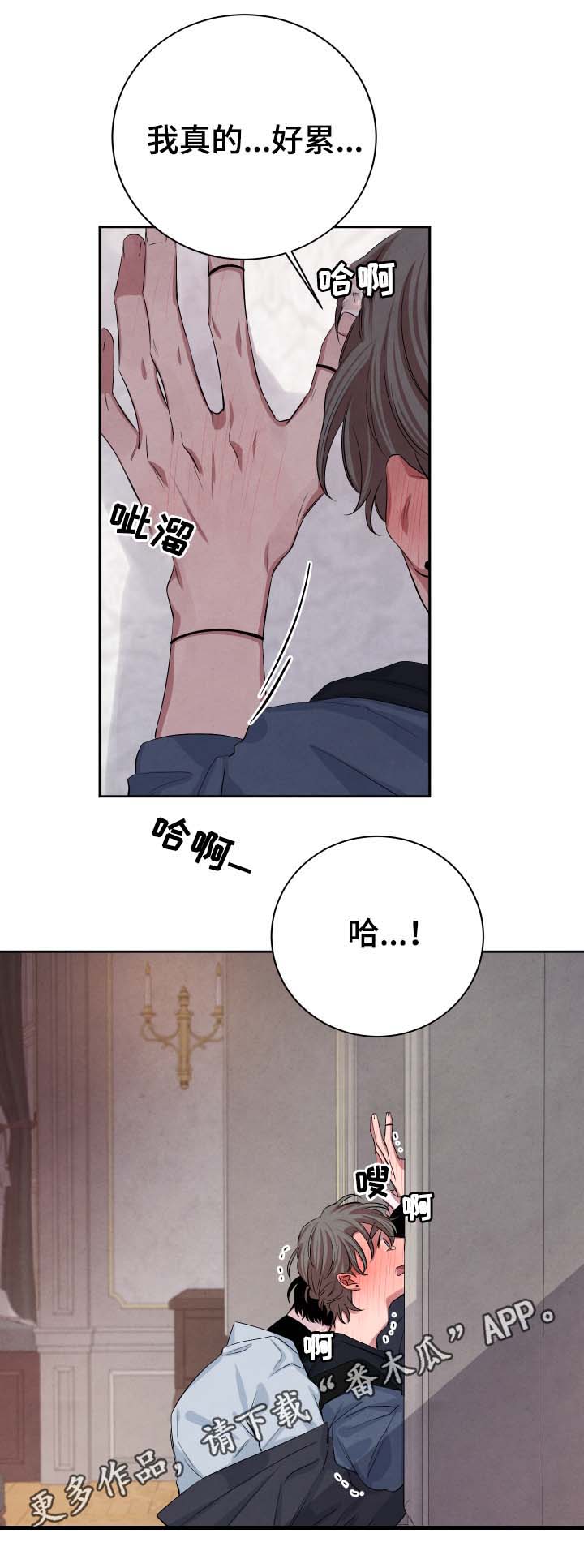 【感官味道】漫画-（第37章：不怕受伤）章节漫画下拉式图片-5.jpg