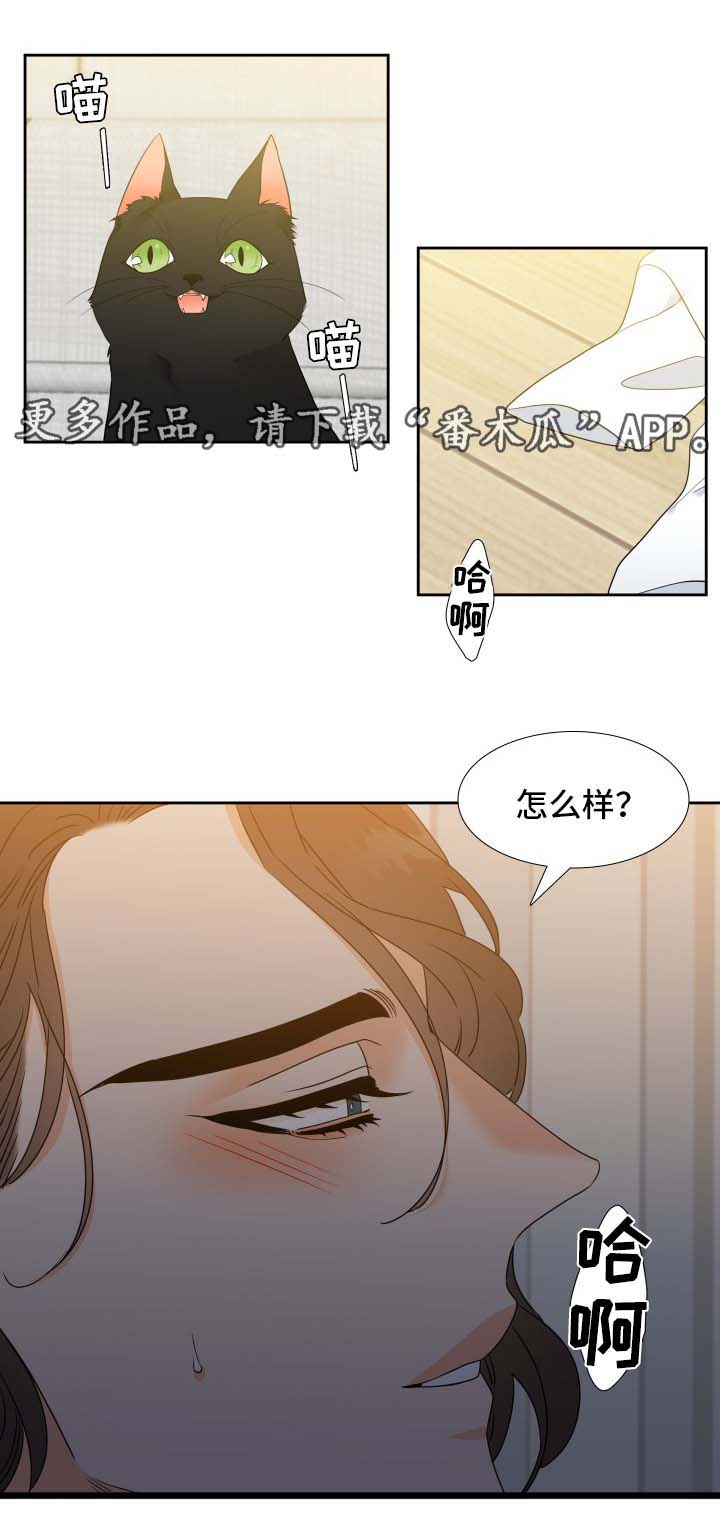 【升级组合】漫画-（第41章：还没结束）章节漫画下拉式图片-3.jpg