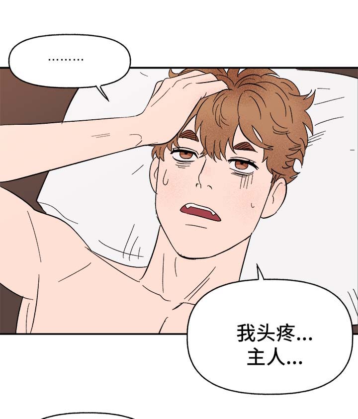 【爱宠攻略】漫画-（第40章：和我在一起）章节漫画下拉式图片-第11张图片