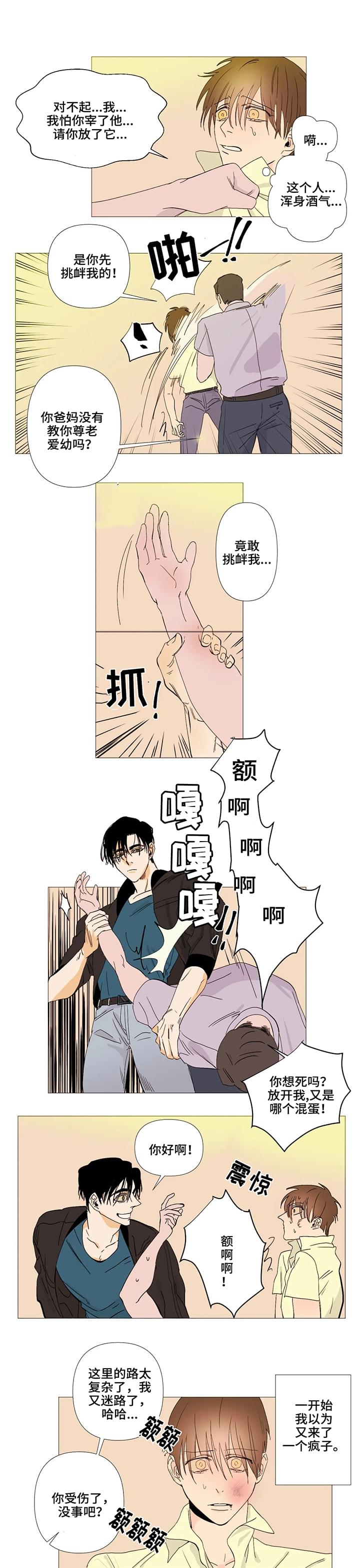 【青春初遇】漫画-（第2章：初遇）章节漫画下拉式图片-第12张图片