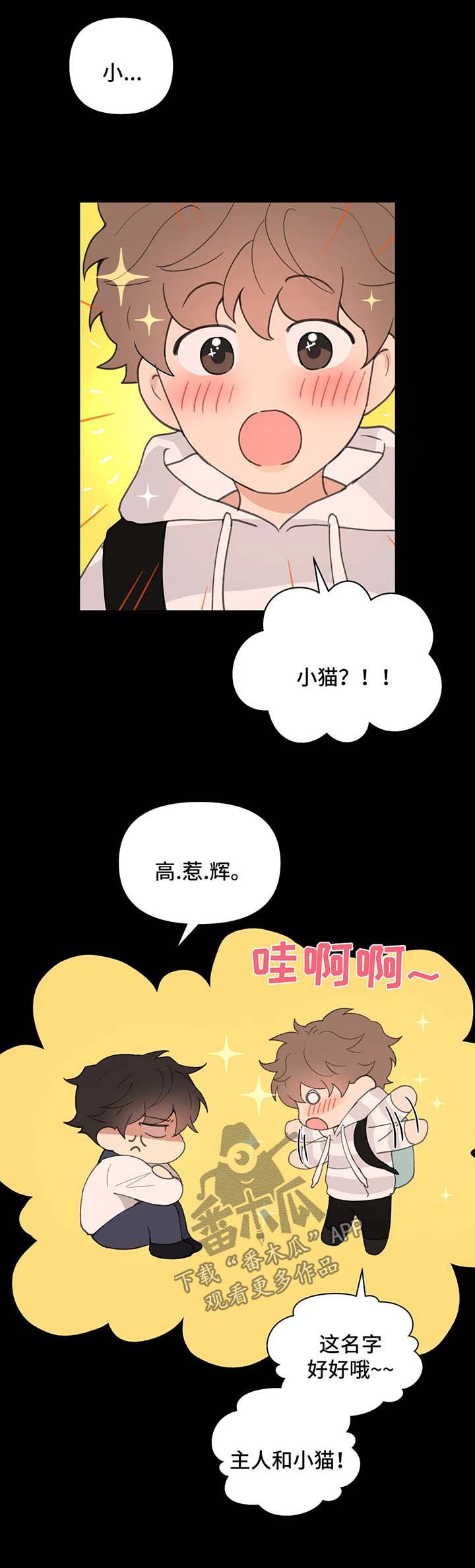 【学院代表】漫画-（第78章：喜欢漂亮的）章节漫画下拉式图片-第2张图片