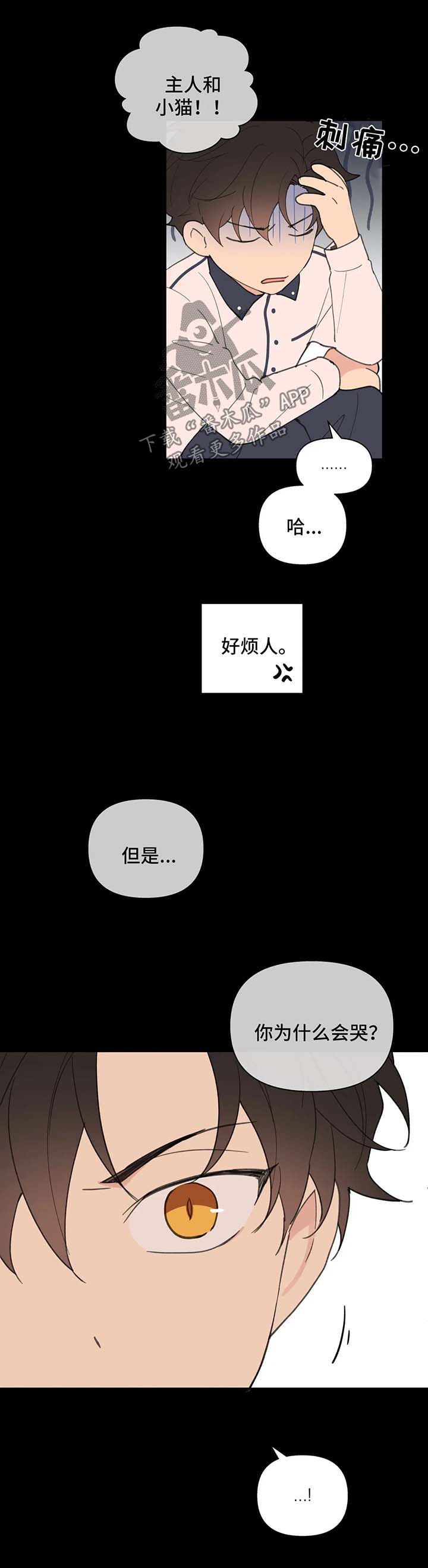 【学院代表】漫画-（第78章：喜欢漂亮的）章节漫画下拉式图片-第3张图片