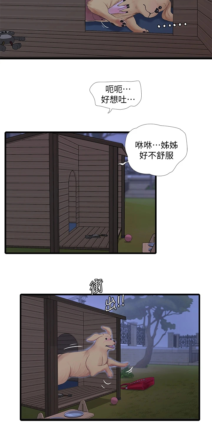 【特别照顾】漫画-（第134章：可怜的狗子）章节漫画下拉式图片-第3张图片