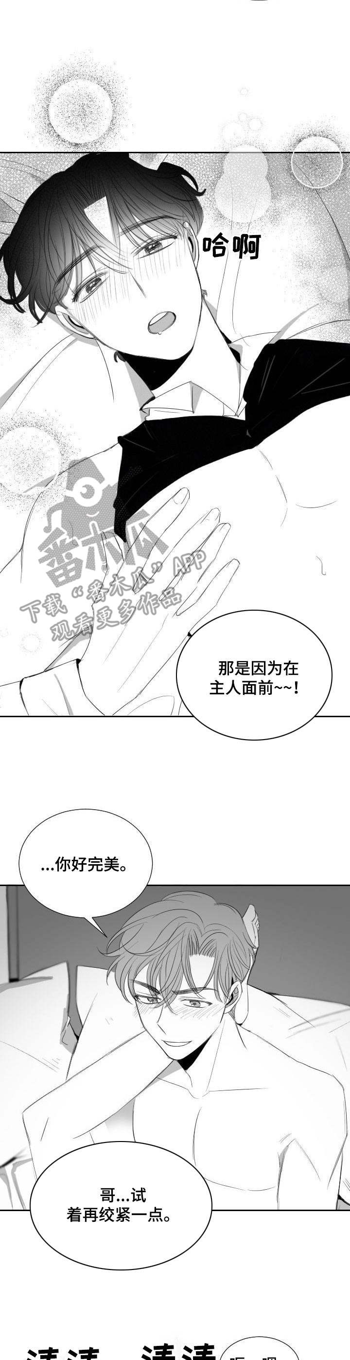 【彗星出租店】漫画-（第36章：甜蜜恋爱）章节漫画下拉式图片-5.jpg