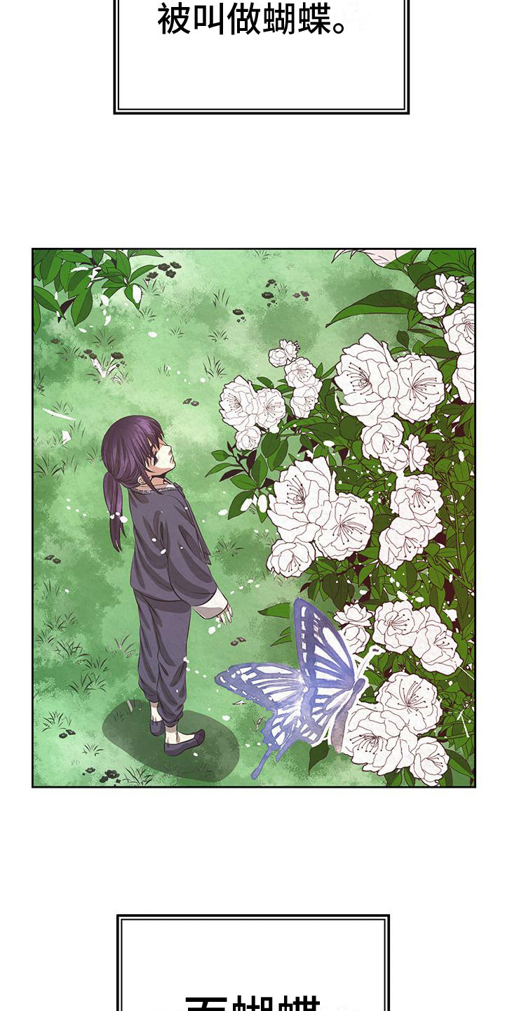 第7章：花与蝴蝶15