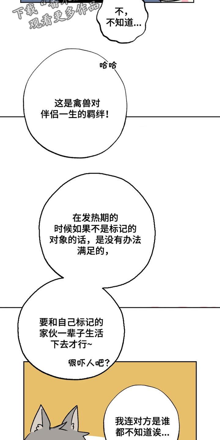 第26章：标记8