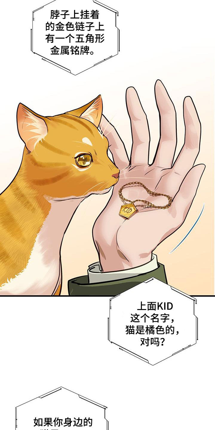 第31章：猫主人3