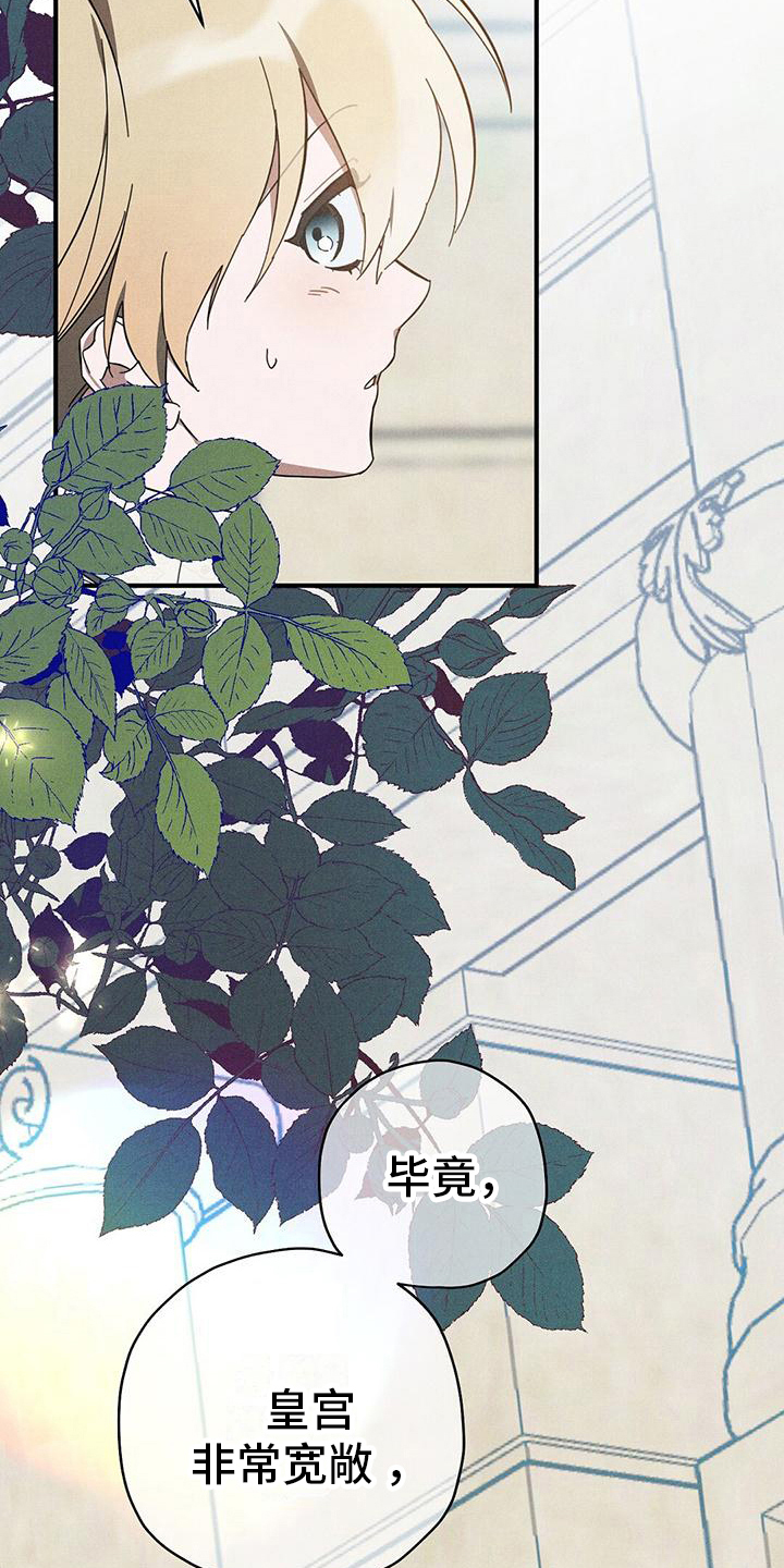 《皇室权谋》漫画最新章节第22章：初识免费下拉式在线观看章节第【5】张图片