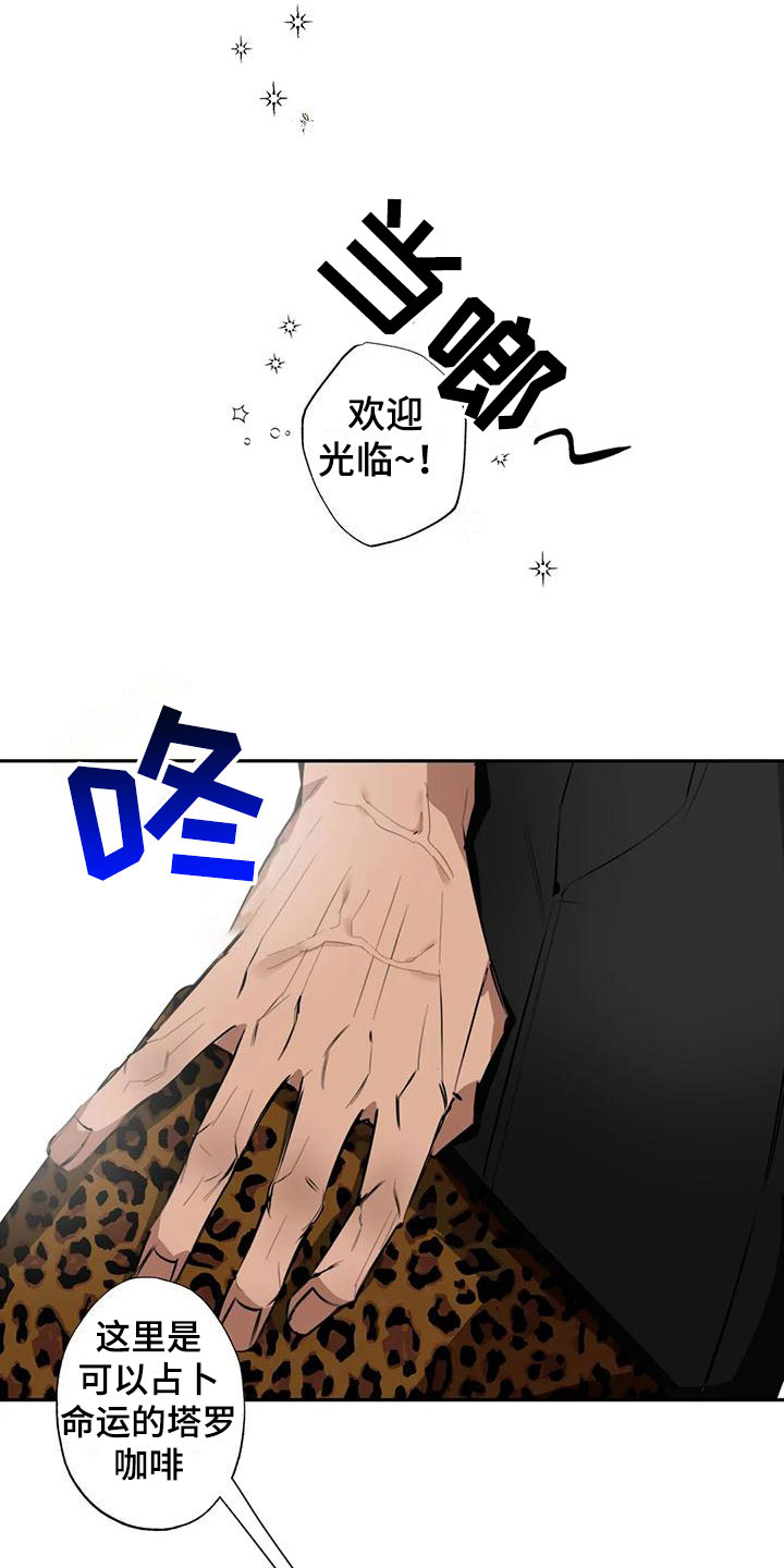 【疯批狂欢】漫画-（第3章：大哥的爱：占卜）章节漫画下拉式图片-第10张图片