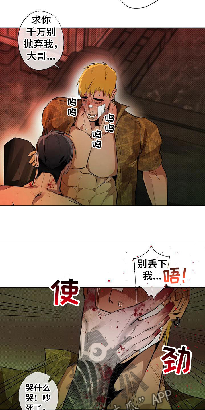 【疯批狂欢】漫画-（第6章：大哥的爱：原计划【完】）章节漫画下拉式图片-第5张图片