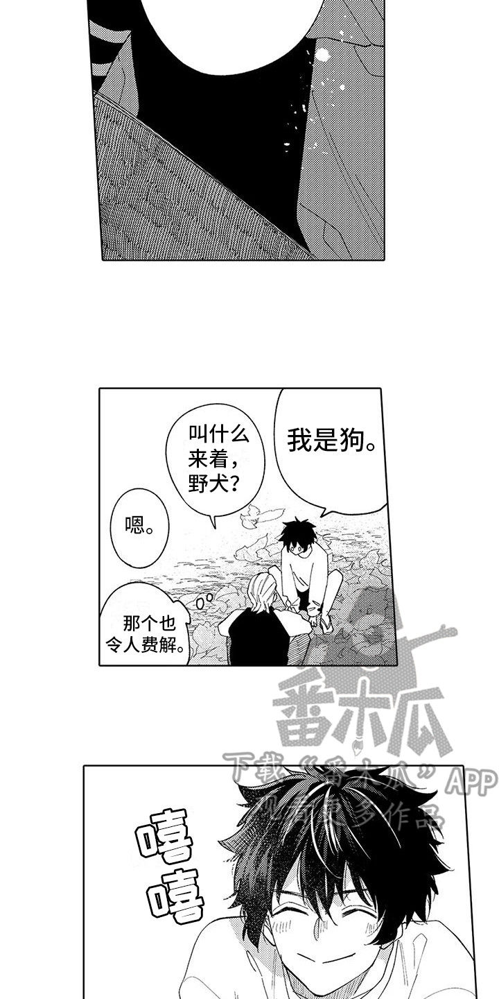 《狼害羞了》漫画最新章节第15章：很可爱免费下拉式在线观看章节第【5】张图片