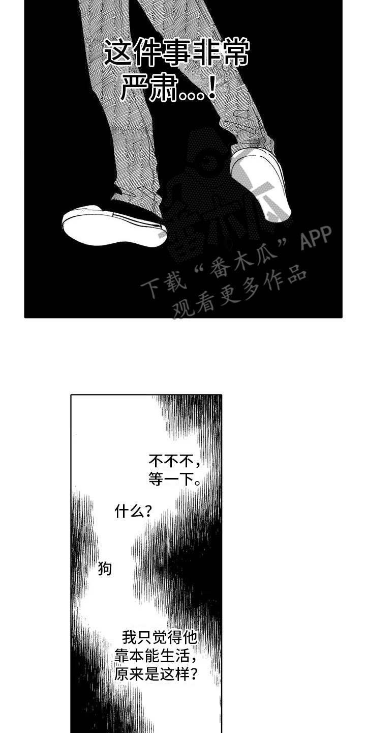 《狼害羞了》漫画最新章节第19章：过往免费下拉式在线观看章节第【5】张图片