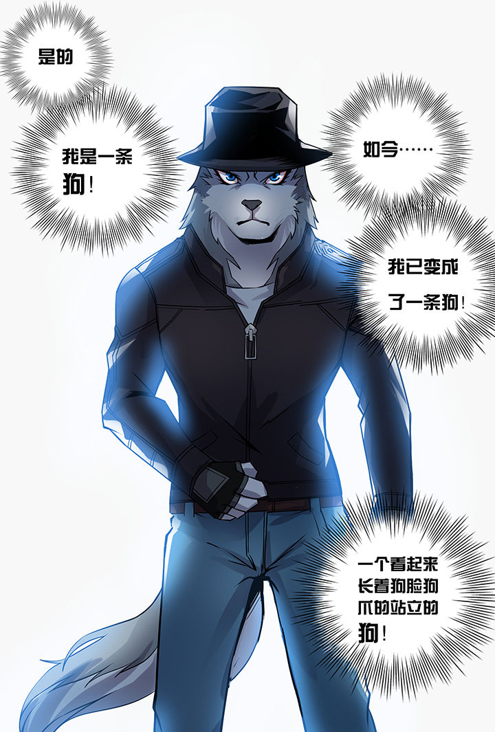 【猫侦探】漫画-（第1章：）章节漫画下拉式图片-第22张图片