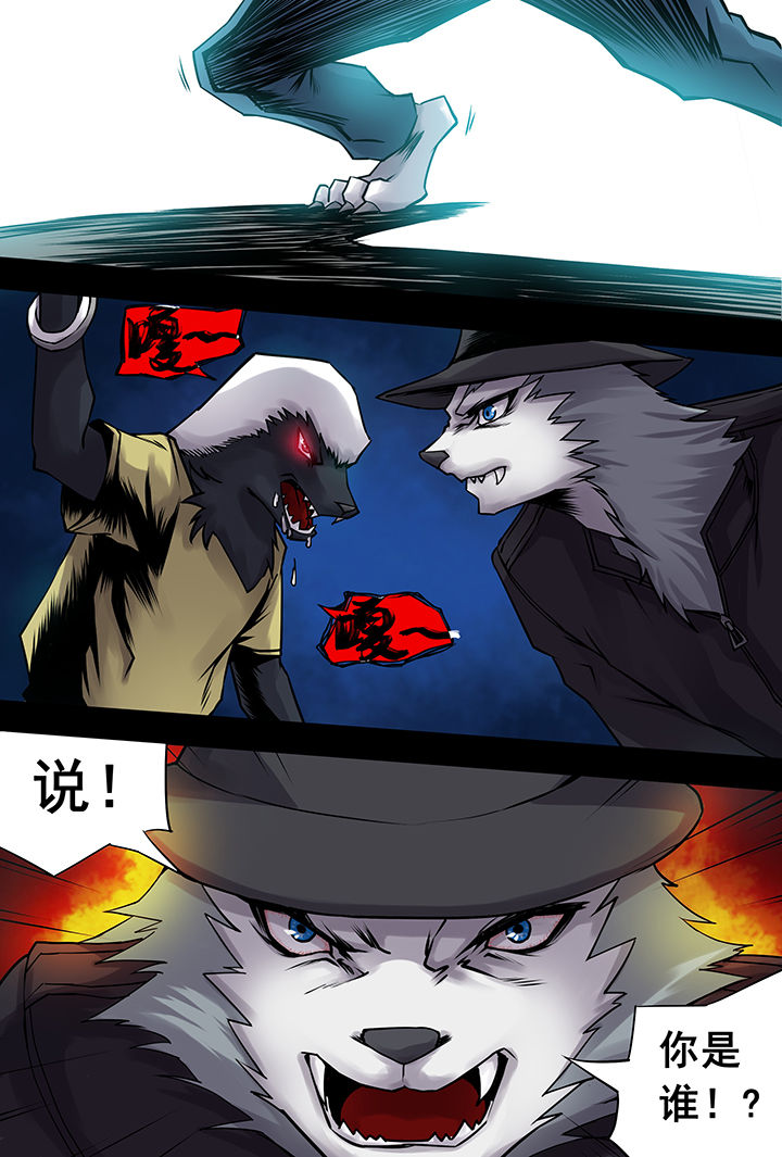 【猫侦探】漫画-（第2章：）章节漫画下拉式图片-第11张图片