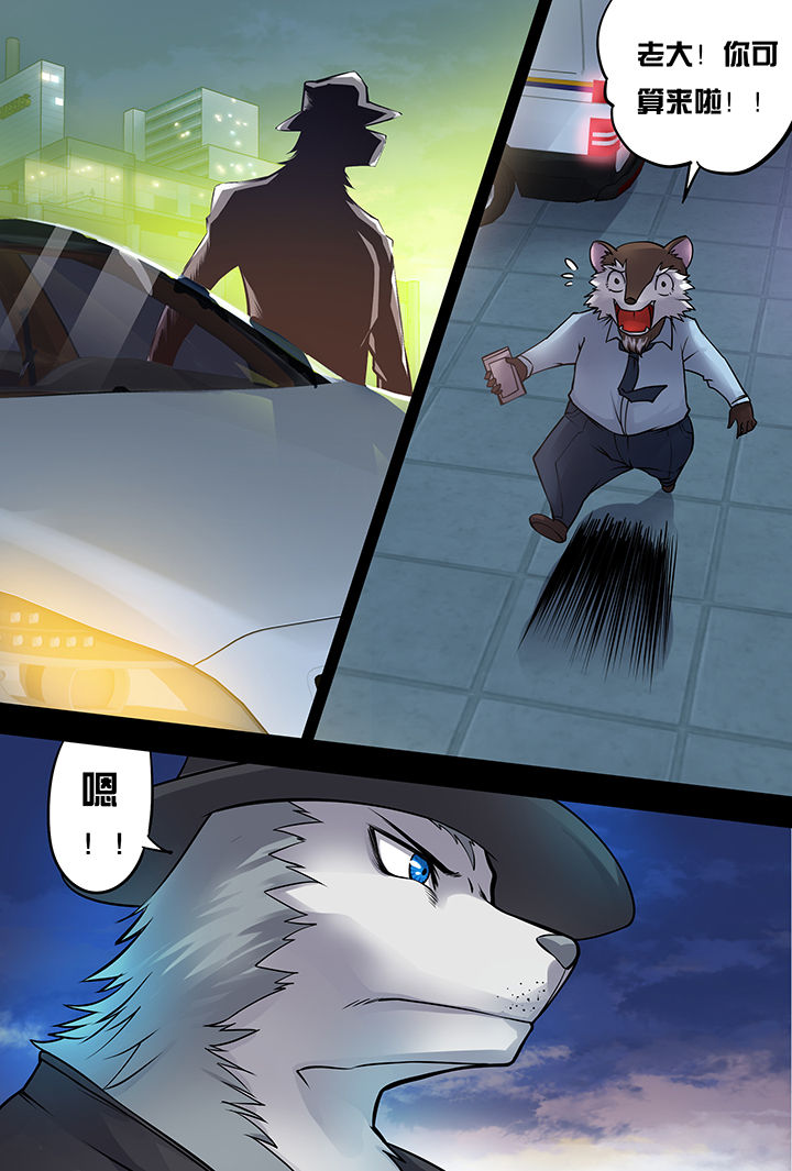 【猫侦探】漫画-（第2章：）章节漫画下拉式图片-第3张图片