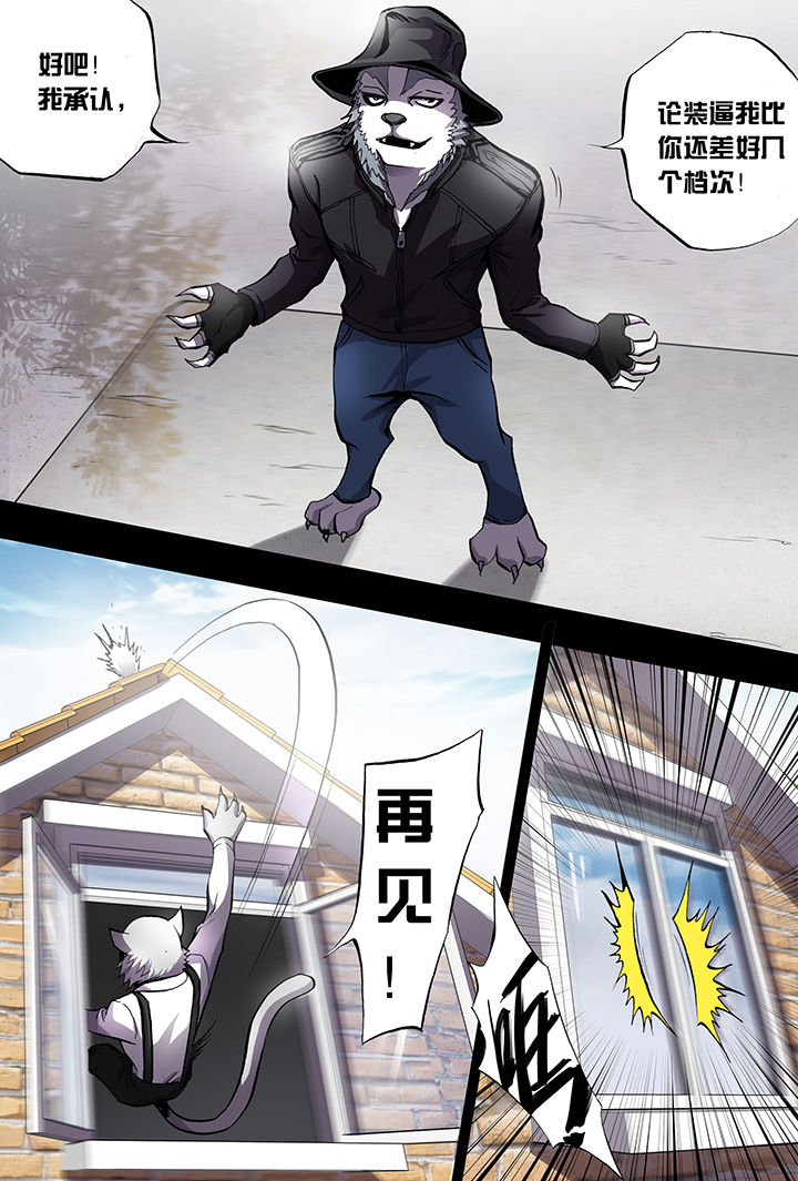 【猫侦探】漫画-（第5章：）章节漫画下拉式图片-第10张图片